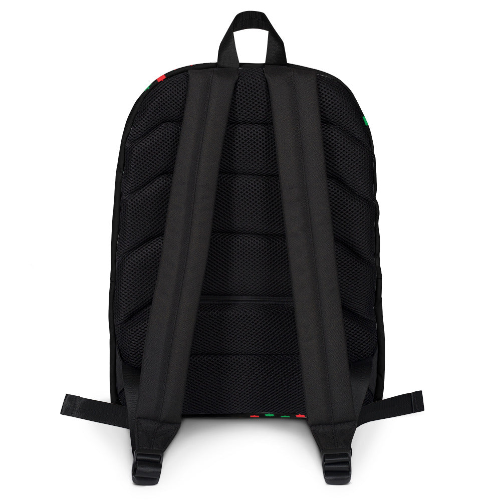 Backpack/ Survivor of the DIP - 0