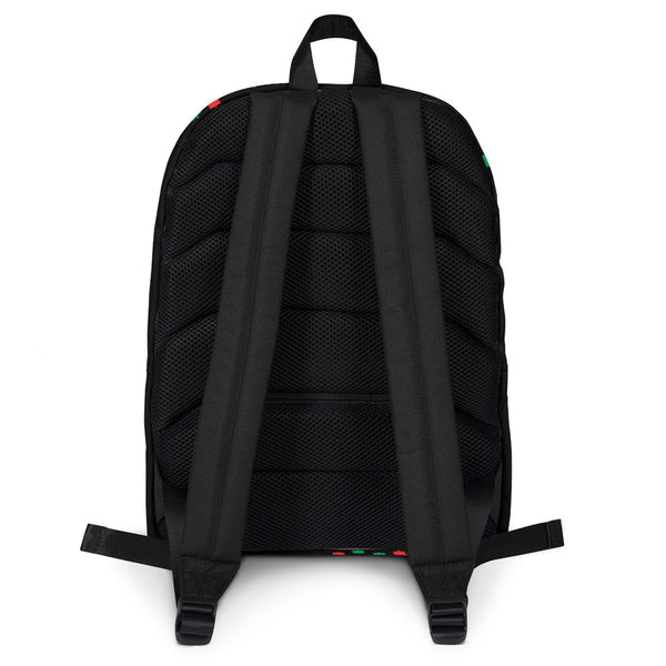 Backpack/ Survivor of the DIP