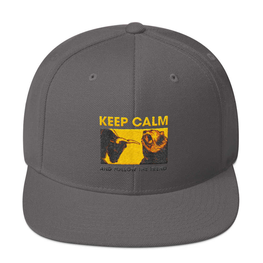 Buy dark-grey Snapback Hat - Follow the trend