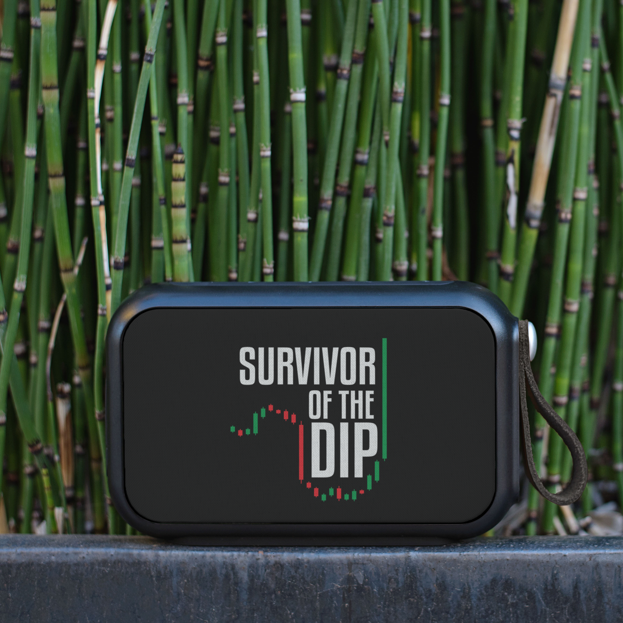 Bluetooth Speaker - Thumpah / Survivor of the DIP